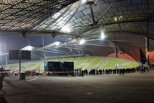 通过顽强的 通过顽强的