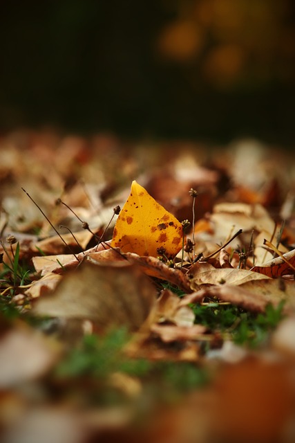 而对于津门 而对于津门
