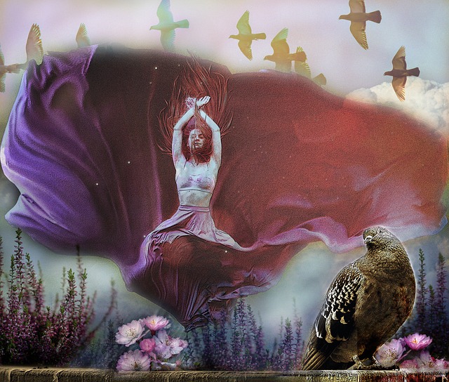 的争夺重心 的争夺重心