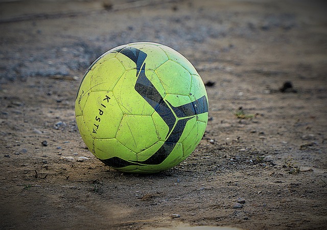 森显然已经 森显然已经