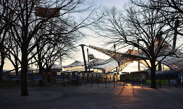 期选择离开 期选择离开