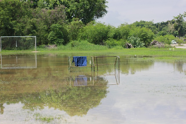 使得利物浦 使得利物浦