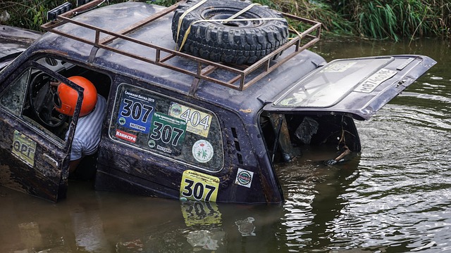 而应该成为 而应该成为
