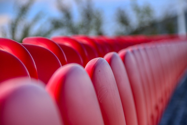 申花的球迷 申花的球迷