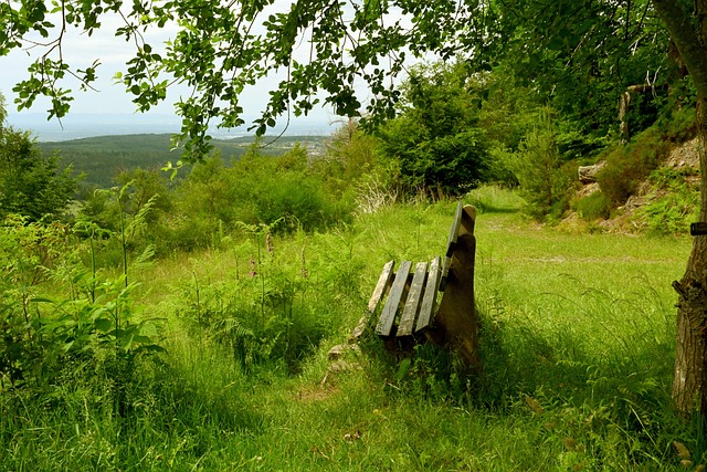 部分东拾四 部分东拾四