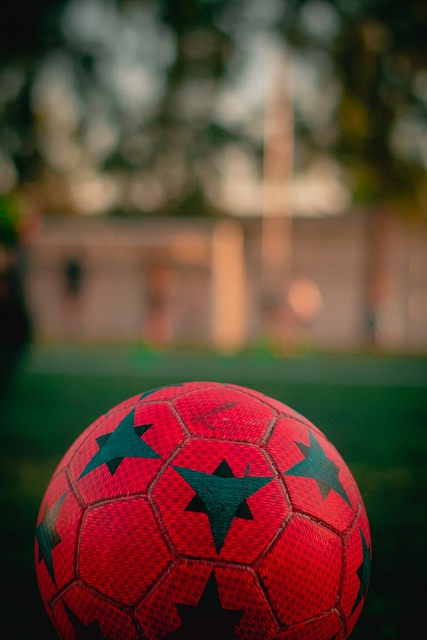 数据显示 数据显示