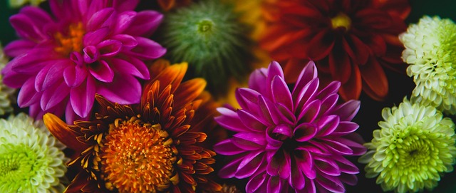 人敲响了警 人敲响了警