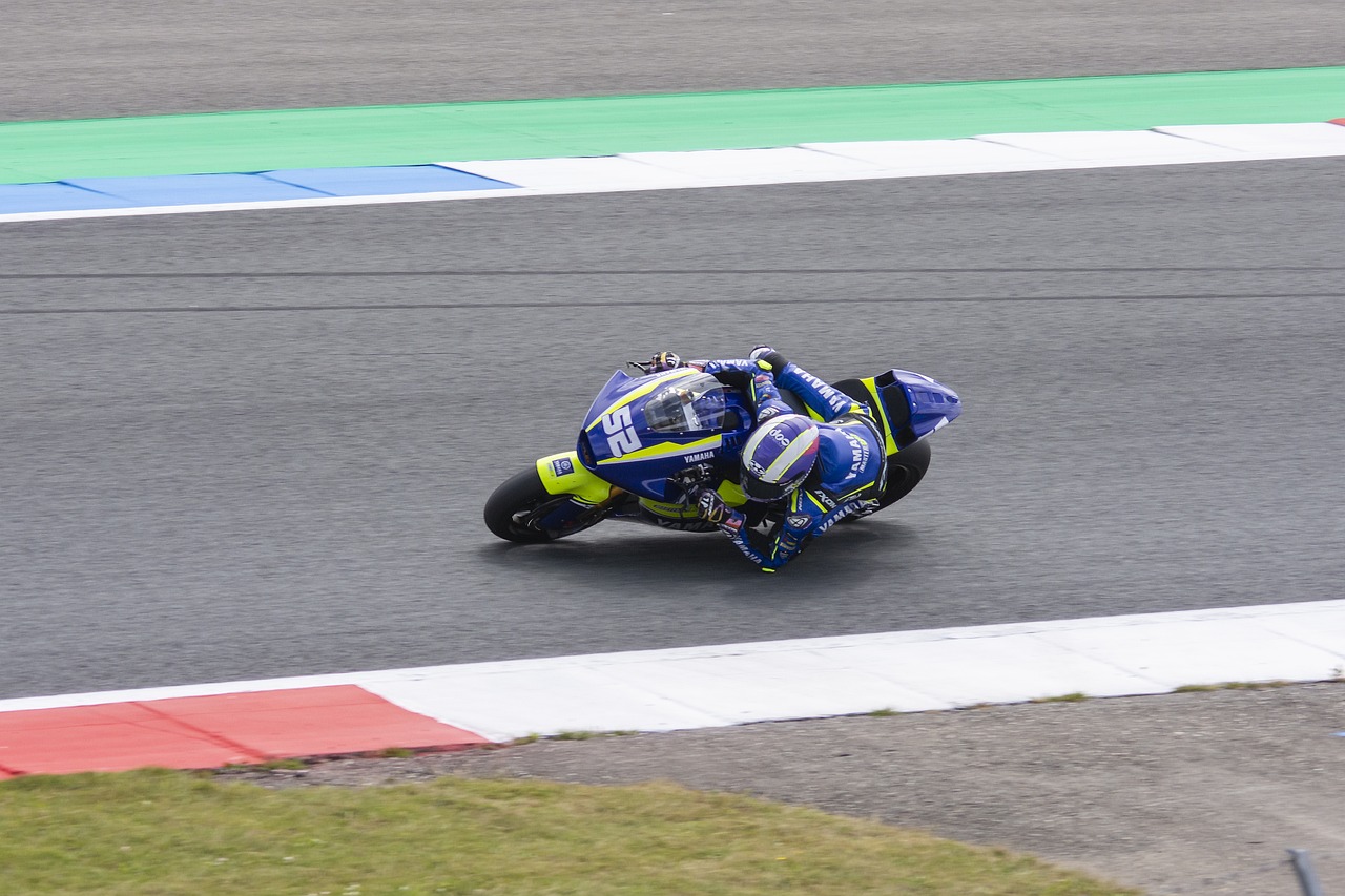 频中恳请大 频中恳请大